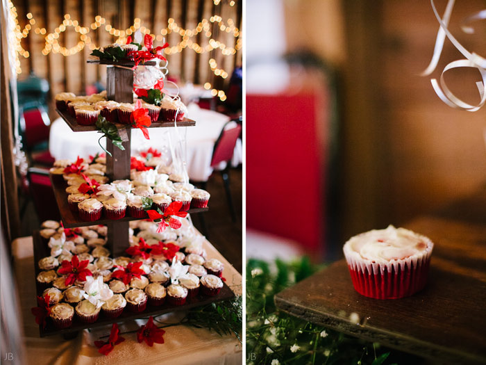 Barn wedding at Spring Meadows farm in mount solon Virginia wedding photographer