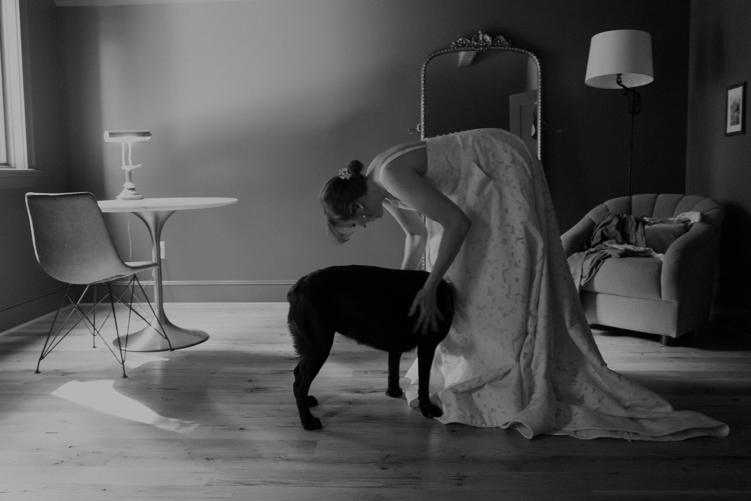 candid unstaged documentary wedding photo bride petting dog at the indigo house in afton virginia - film photography look fuji acros black and white wide angle - virginia documentary wedding photographer