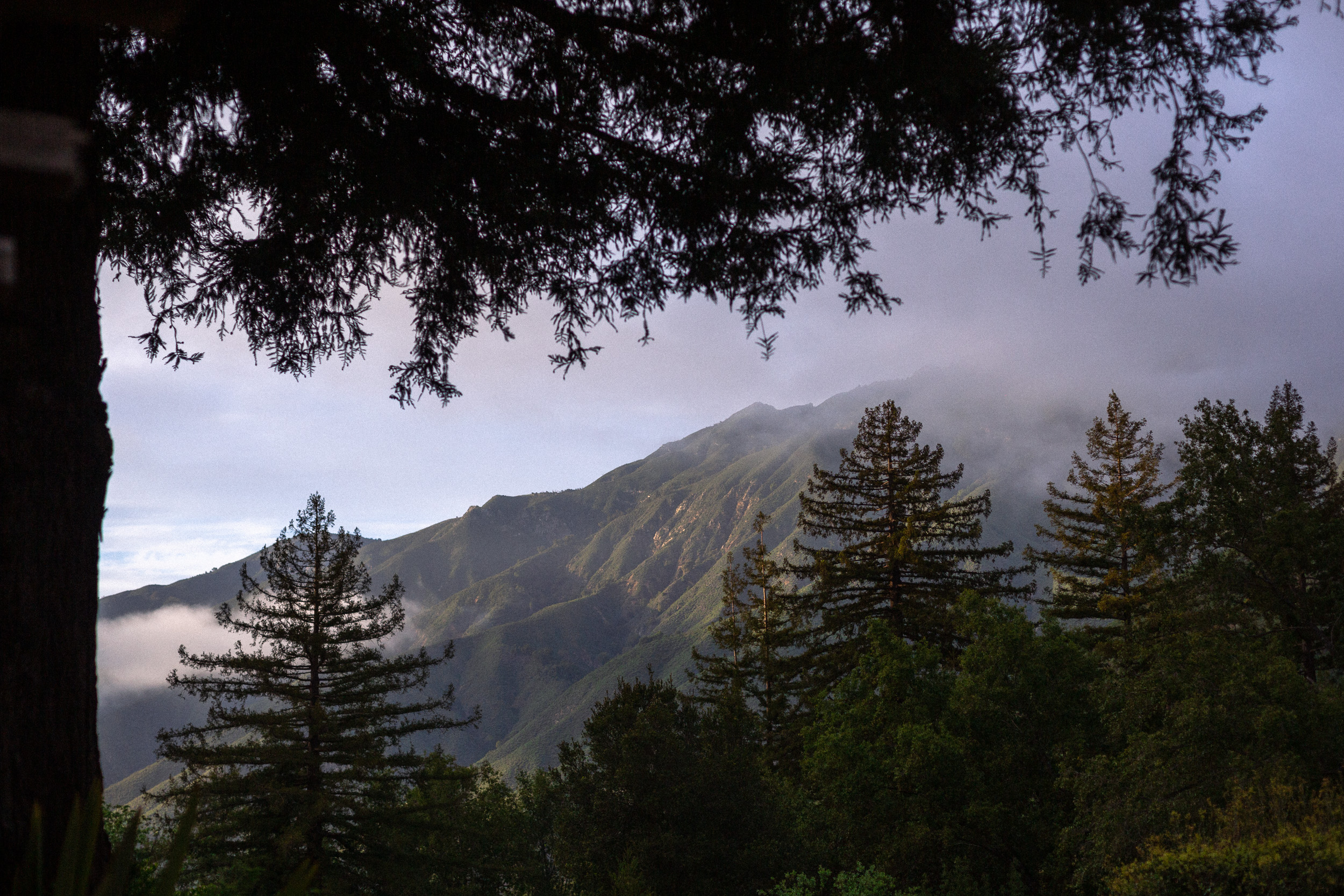 view of coastal mountains and fog view from porch of big sur bakery along california highway 1  - big sur california wedding - laid back wedding in big sur california - fuji provia film look true to life colors