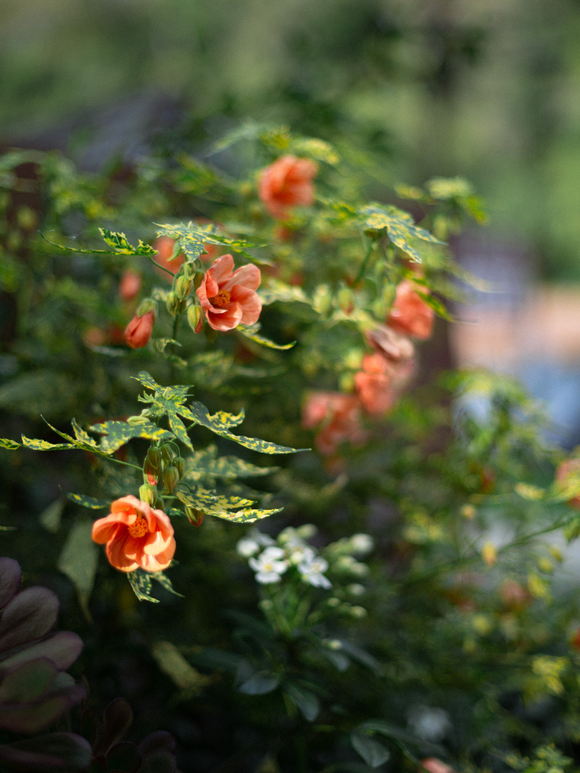 florals at big sur river inn wedding details