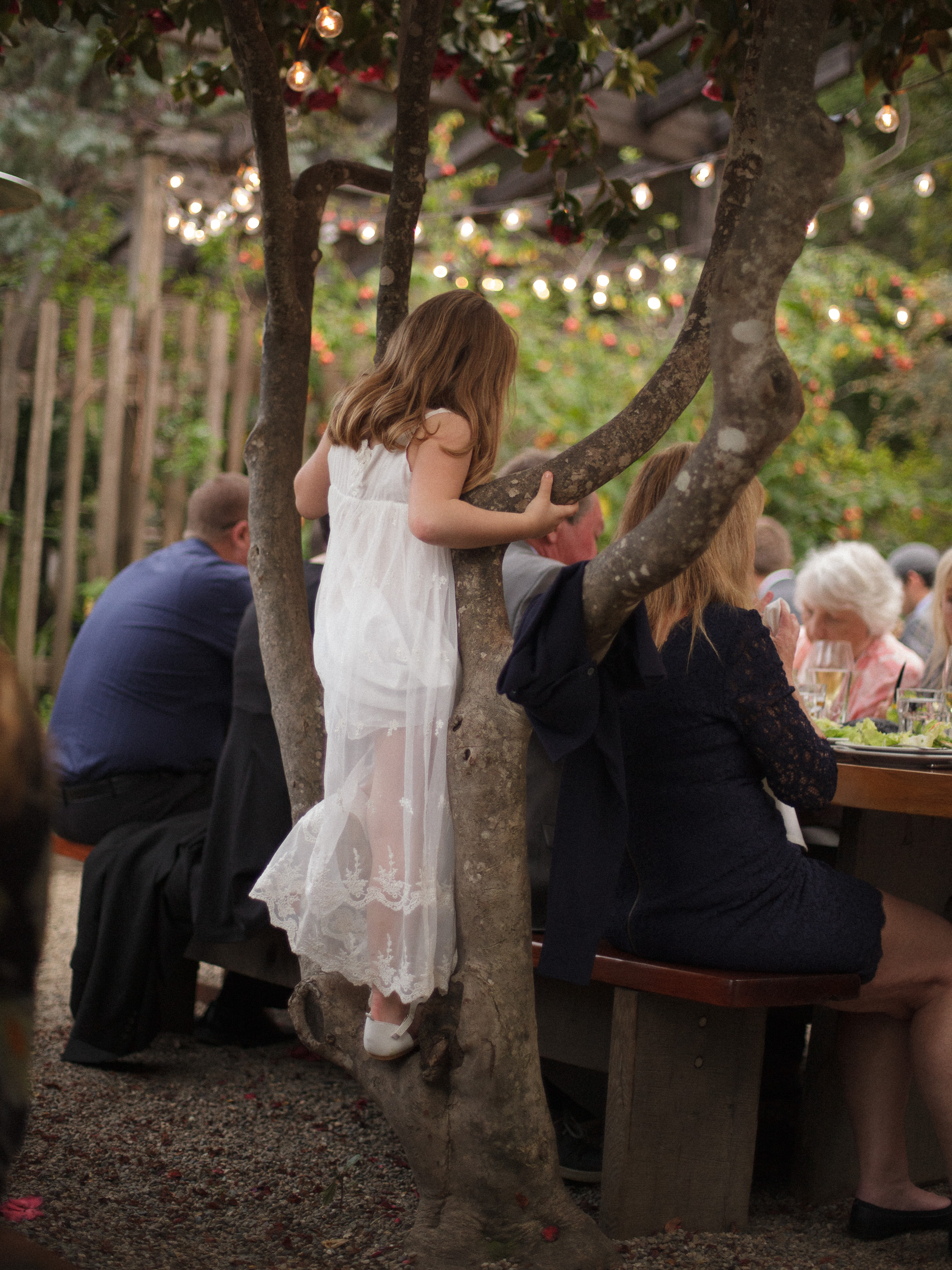 child climbs tree at wedding reception in big sur california