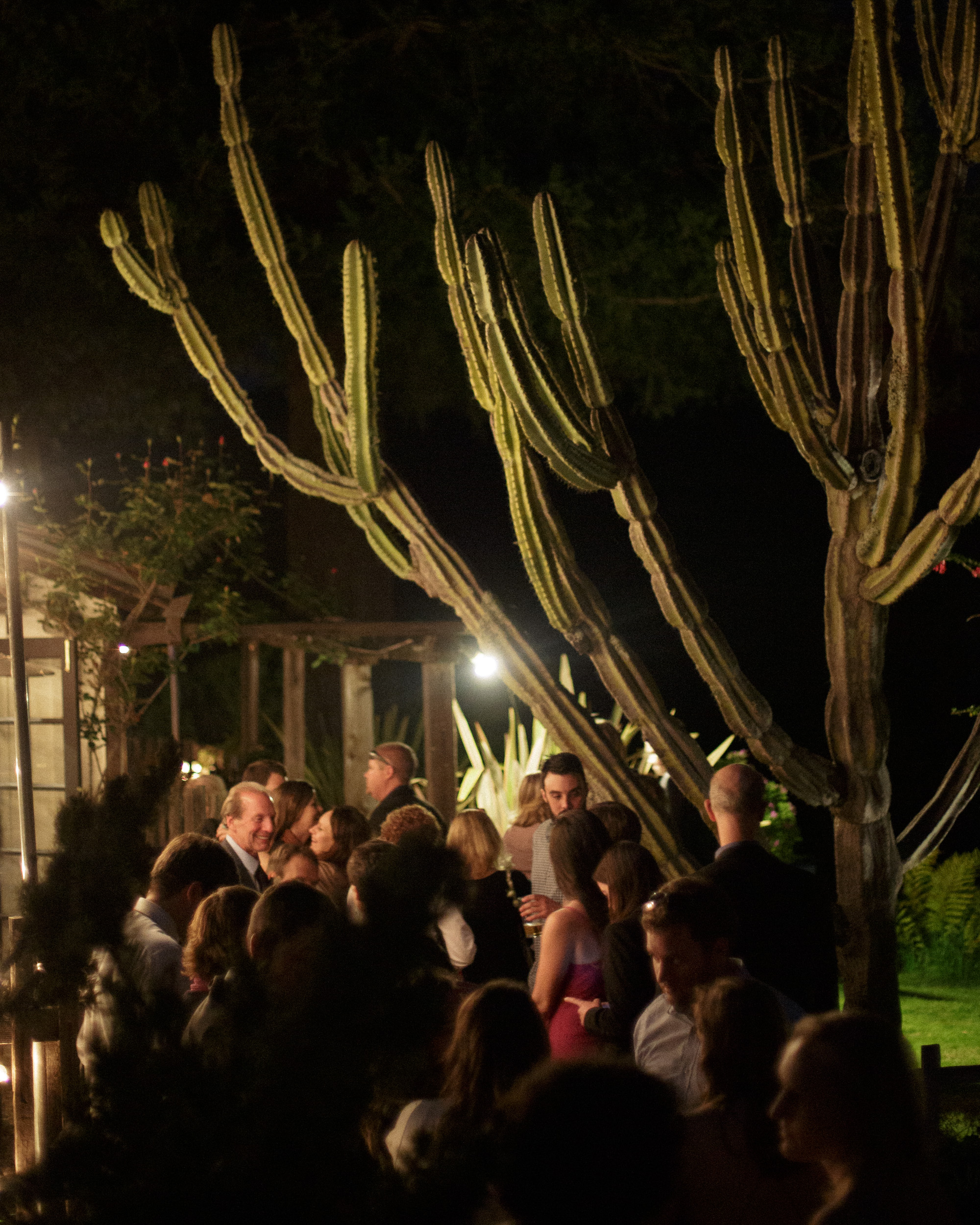 guests gather around a cactus at big sur bakery in california for wedding reception